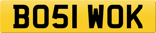 BO51WOK